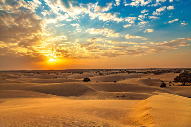 Desert Dusk